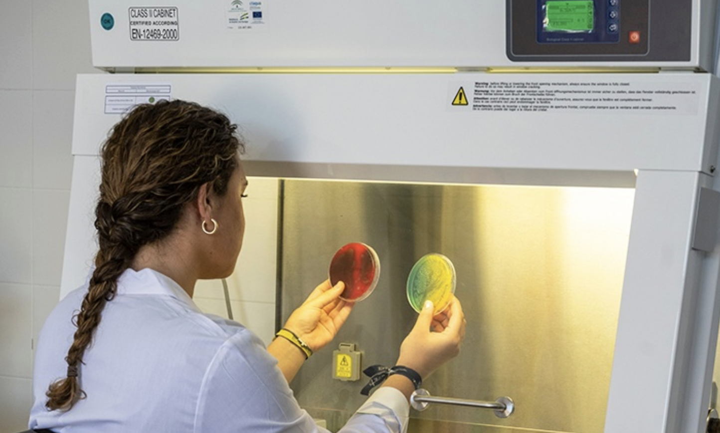 CTAQUA expondrá los resultados de su análisis de la competitividad y necesidades de I+D+i en acuicultura